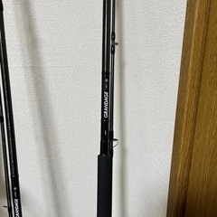 アピア グランデージXD100EX 新品