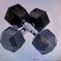 【ほぼ未使用】INSPIRE ラバーダンベル