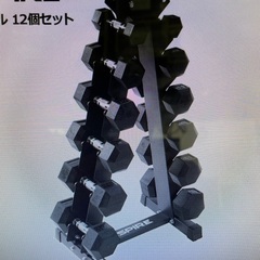 【ほぼ未使用】INSPIRE ラバーダンベル