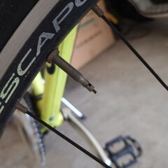 GIANT escape 3 イエロー エスケープスリー 黄色