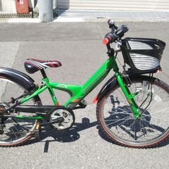 自転車　ブリジストン(グリーン)　24型