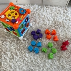 知育玩具　型はめ　パズルボックス　ローヤル　ブロック
