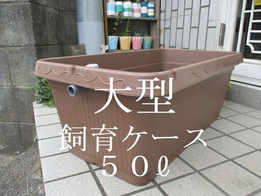 １０７未使用５０ℓ飼育ケースオーバーフロー加工飼育容器水槽睡蓮鉢ビオトープメダカめだか はなまる 松山のその他の中古あげます 譲ります ジモティーで不用品の処分