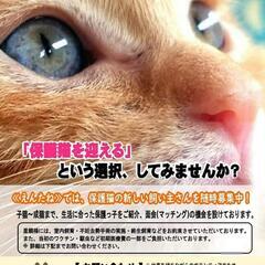 保護猫譲渡会🐾　2022/5/8