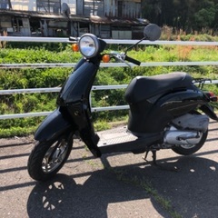 【ホンダ 】☆トゥデイ☆ 50cc 4サイクル キャブ車！
