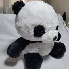 プレゼントに大きめのぬいぐるみ　Panda