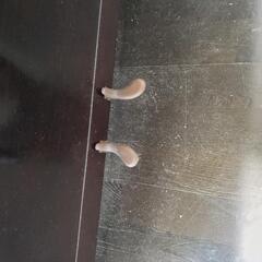 ヤマハ　アップライトピアノ　U1D