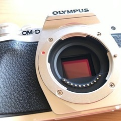 保証＆純正充電池2個付　OM-D E-M10 Mark3 EZW...