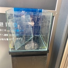 コトブキ　30cmキューブ水槽　LEGLASS