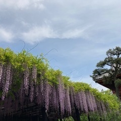 はじめての風水　体験教室　1200円