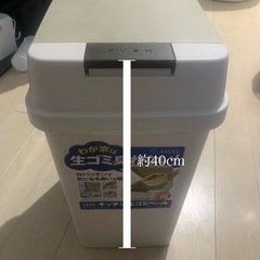 ゴミ箱 ボタン 蓋 ダストボックス【取引中】