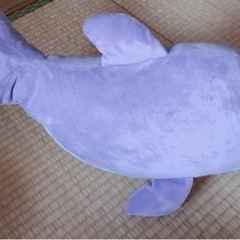 うみの杜水族館のイルカ（紫）