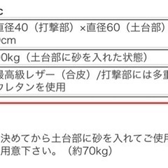 サンドバッグ　新品未使用