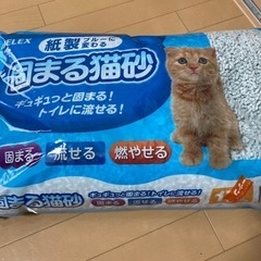 固まる猫砂