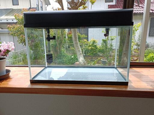 Gex60水槽 ポンプ照明セット 引き取り限定 小水槽 ポンプは未使用 のおまけ付き Nori 龍ケ崎市の家具の中古あげます 譲ります ジモティーで不用品の処分