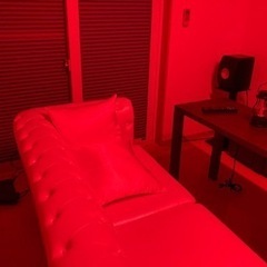 【引き取り特価】【新品同様】Amazon Echo(アレクサ)オマケ！スマートライト