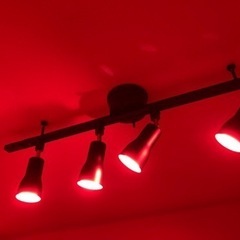 【引き取り特価】【新品同様】Amazon Echo(アレクサ)オマケ！スマートライト