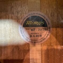 愛品館八千代店】Morris MF-256TS アコースティックギター