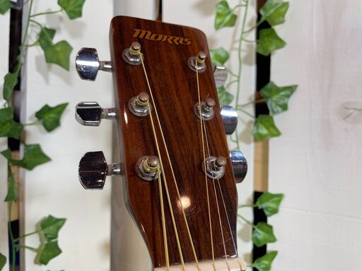 【愛品館八千代店】Morris　MF-256TS　アコースティックギター