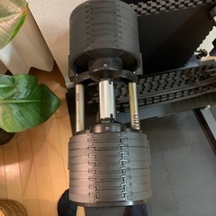 ダンベル＋スタンド