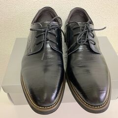 紳士靴 25cm