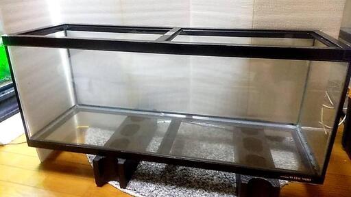 商品、引取完了済み。急募❗美品900のガラス水槽～✨早い者勝ちです～
