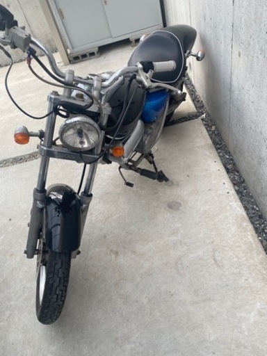 マグナ　50 決まりました。ありがとう