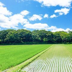 【日払い】愛媛県伊予市上三谷で肥料運搬のお仕事！【単発/短期求人】 