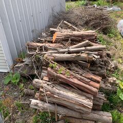 木の廃材　一時的に受付終了します。
