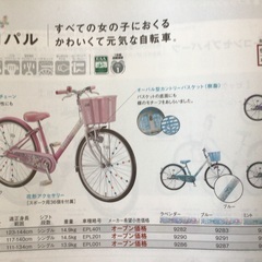 新品在庫車BSエコパル女の子用大幅値下げ BSエコパル女の子用新車大幅値下げ