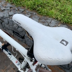 6月中旬引渡決【守谷市】クロスバイク　LOUIS GARNEAU