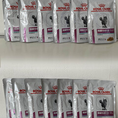 猫ちゃん腎臓療法食セット