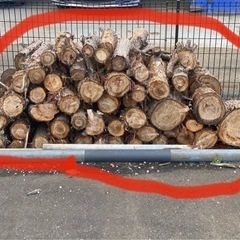 針葉樹(杉)薪　玉切り　原木　引き取り限定