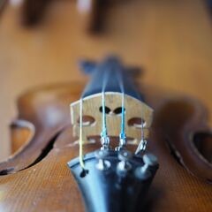 【選定分類：I-④ コンテムポラリー・マスターメード・伊太利】Violin By ZANOLI FRANCESCO 1980●修復・セッティング・調整未済but最近まで現役使用●試奏可能