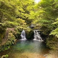 ②5/21(土)三宮オシャレなビストロ飲み会ご一緒にいかがですか🥂