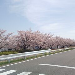 庄内川サイクリングロードを一緒に走りませんか？🍀初心者歓迎🍀