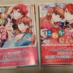 恋愛少女漫画２９冊セット（オリジナルアニメDVD付き）