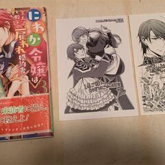 恋愛少女漫画29冊セット（オリジナルアニメDVD付き）