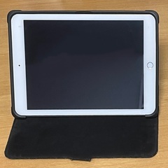 【極美品】iPad Air2 64GB ゴールド