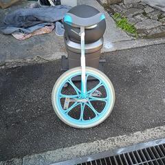 💐ブリジストン一輪車（使用数回綺麗）