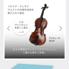 【ネット決済・配送可】バイオリン　