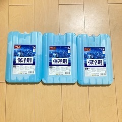 3点セット　保冷剤　アイリスオーヤマ  CKB-800 Lサイズ