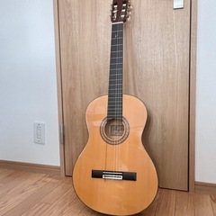 【6月末まで】Angelica クラシックギターの画像