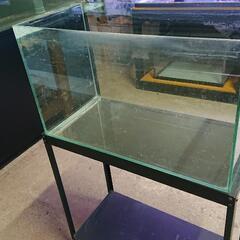 オールガラス水槽①(エーハイム  EJ-60)