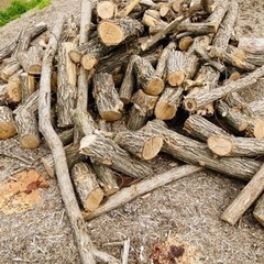 ★薪用原木★不揃いの為値下げ！！　　(20,000円⇨13,000円) ☆薪用原木☆不揃いの為値下げ！！ (20,000円⇨13,000円)