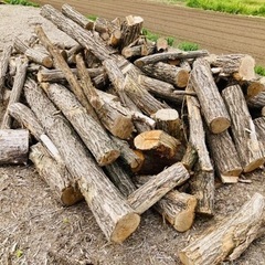 ★薪用原木★不揃いの為値下げ！！　　(20,000円⇨13,000円) ☆薪用原木☆不揃いの為値下げ！！ (20,000円⇨13,000円)