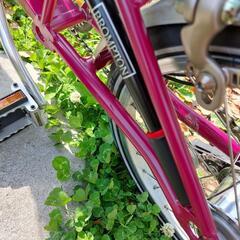 ブロンプトン(M3L) クラレット