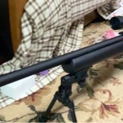 タナカワークス M24 SWS AIR