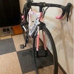 ウィリエール　フルカーボン