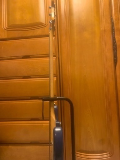 フレットレスベース　ソフトケース付 フレットレスベース ソフトケース付